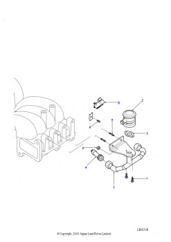Трубки и регулирующие клапаны - система подачи вторичного воздуха (4,6 л бензин EFI 8 цил., 4,0 л V8 EFI бензин)