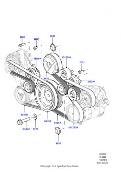 Шкивы и приводные ремни (3,6 л V8 32V DOHC EFi дизель Lion)